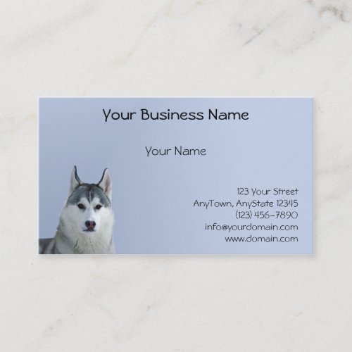 Siberian Husky on Blue Background Business Cards