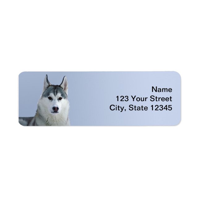 Siberian Husky on Blue Background Label (Front)
