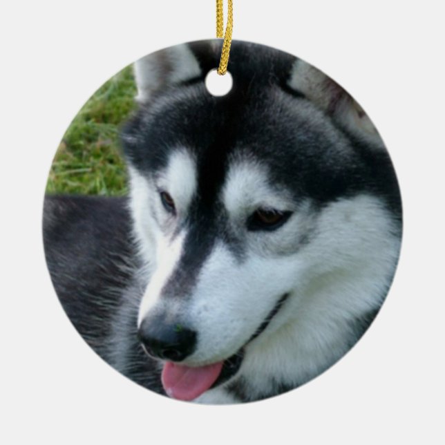 Siberian Husky Ornament (Front)
