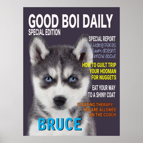 Siberian Husky Parody Magazine Cover Poster