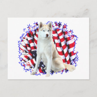Siberian Husky Patriot Postcard