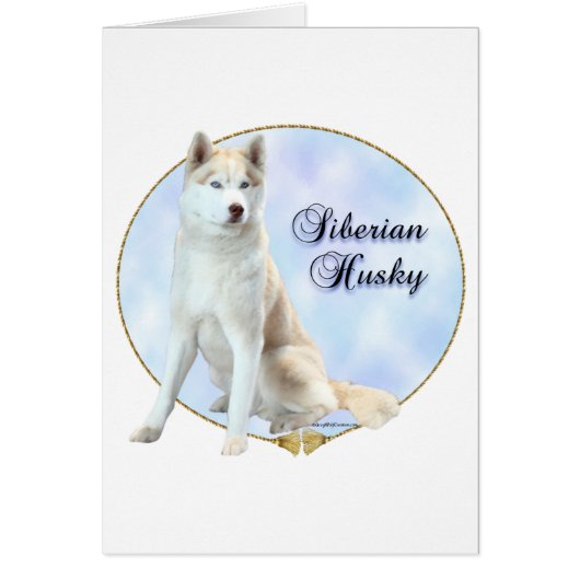 Siberian Husky Portrait Cards (Front)