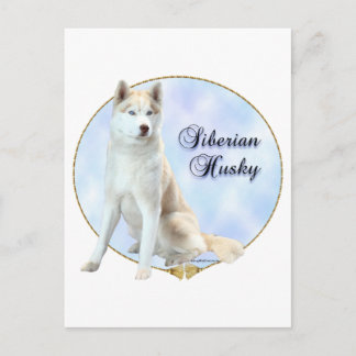 Siberian Husky Portrait Postcard