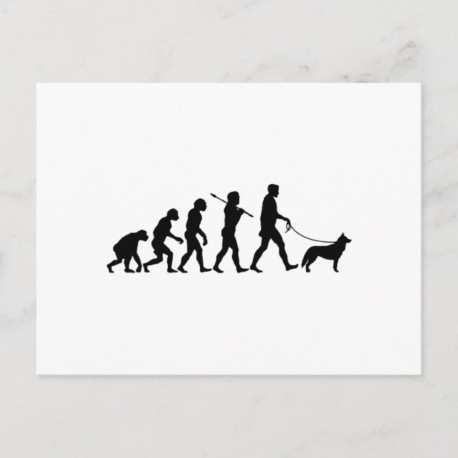 Siberian Husky Postcard (Front)