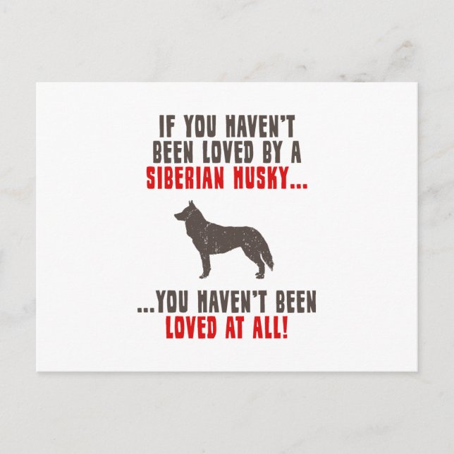 Siberian Husky Postcard (Front)