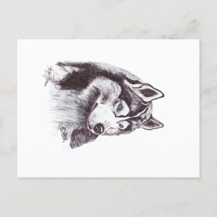 SIBERIAN HUSKY POSTCARD