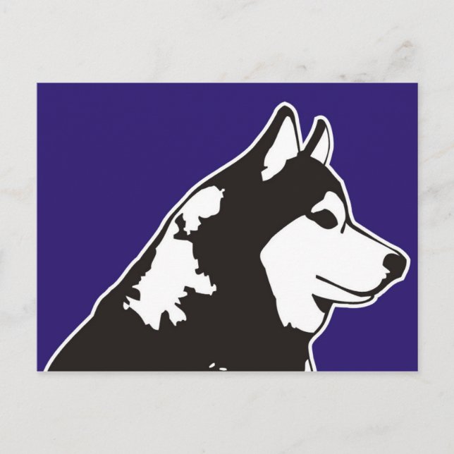Siberian Husky Postcard (Front)