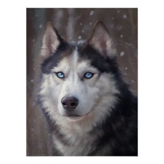 Siberian Husky