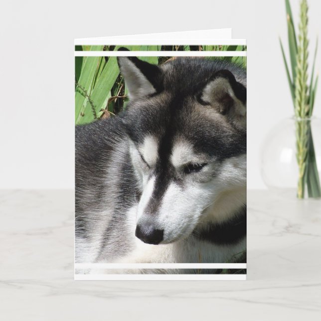 Siberian Husky Profile Greeting Card (Front)