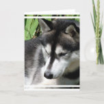 Siberian Husky Profile Greeting Card