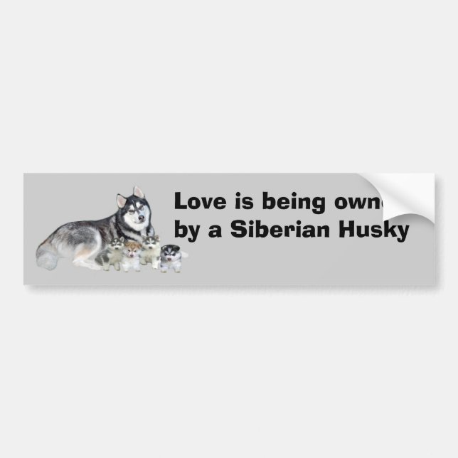 Siberian Husky & Puppies Bumper Sticker (Front)