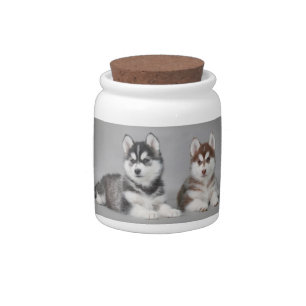 Siberian husky puppies candy jar