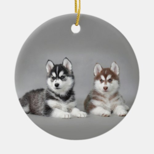 Siberian husky puppies ceramic ornament