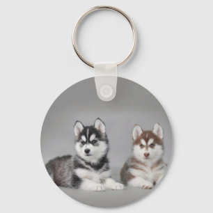 Siberian husky puppies keychain