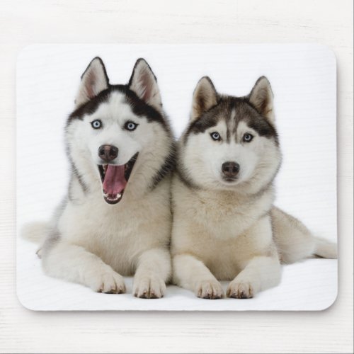 Siberian Husky Puppies Mousepad