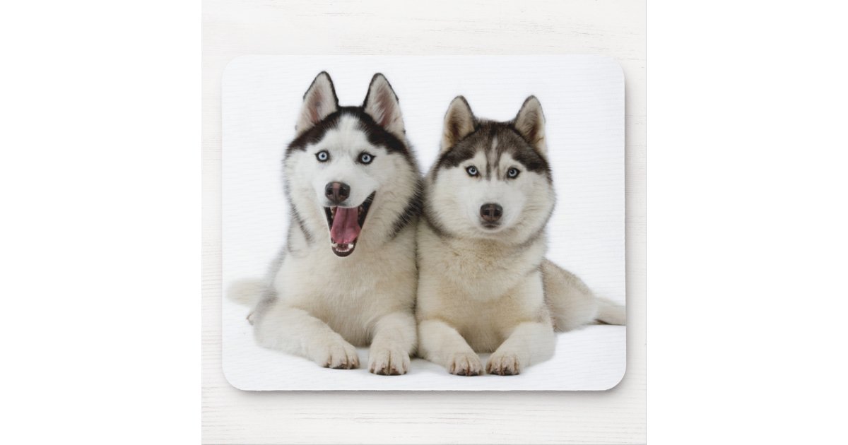 Siberian Husky Dog Leather Wallet for Men Custom Hand Painted 