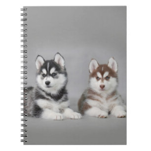 Siberian husky puppies notebook