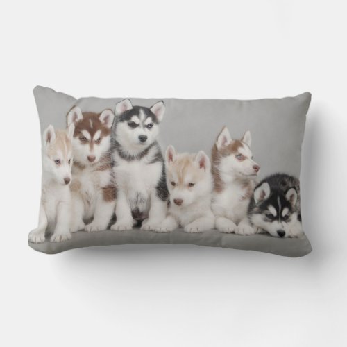 Siberian Husky Puppies on Throw Pillow