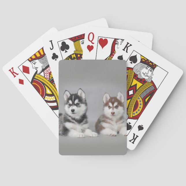 Siberian husky puppies poker cards (Back)