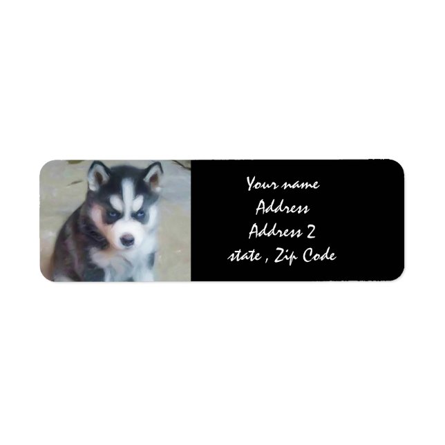Siberian Husky Puppy Address labels (Front)