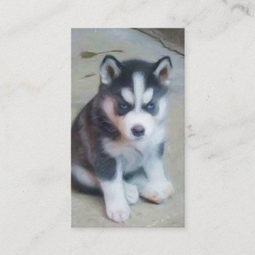 Customizable Siberian Husky puppy Art business cards