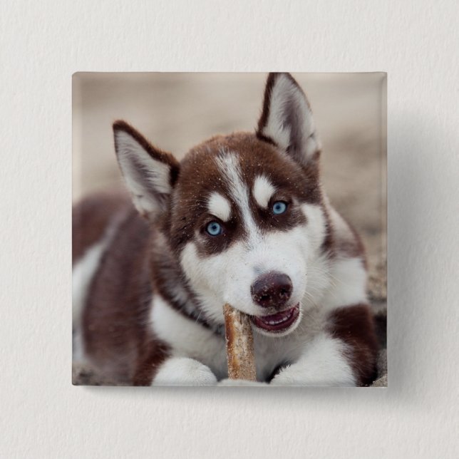 Siberian Husky Puppy at the Beach Button (Front)