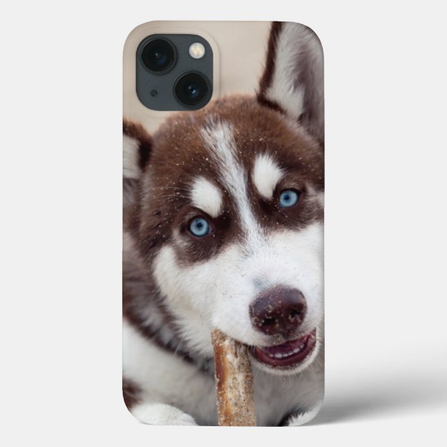 Siberian Husky Puppy at the Beach Case-Mate iPhone Case (Back)
