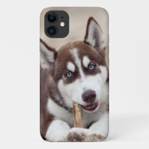 Siberian Husky Puppy at the Beach iPhone 11 Case