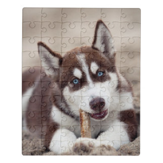 Siberian Husky Puppy at the Beach Jigsaw Puzzle