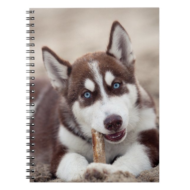 Siberian Husky Puppy at the Beach Notebook (Front)