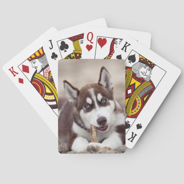 Siberian Husky Puppy at the Beach Poker Cards (Back)