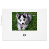 Siberian Husky Puppy Dog Blank Greeting Note Card (Back Horizontal)