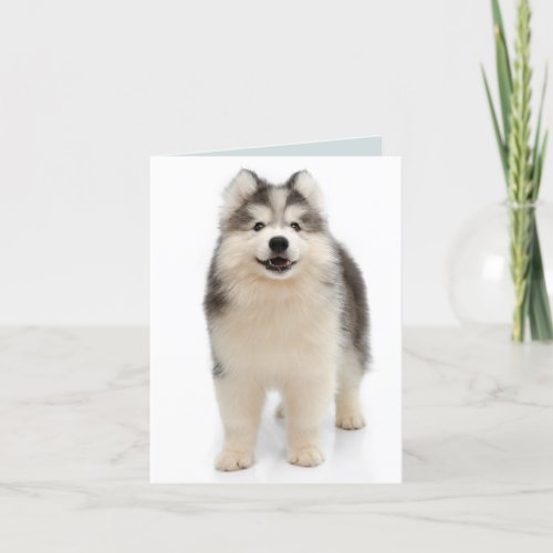 Siberian Husky Puppy Dog Blank Note Card