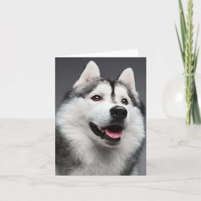 Siberian Husky Puppy Dog -  Hello, Love, Miss You, Card (Front)