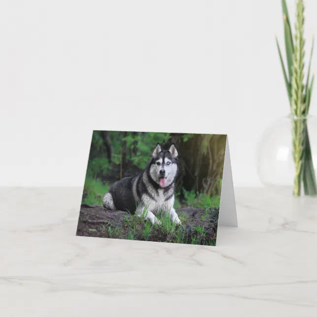 Siberian Husky Puppy Dog Hello, love, Thank You, Thank You Card Zazzle