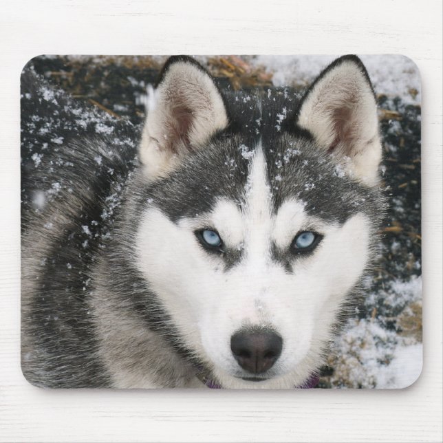 Siberian Husky Puppy Dog in Snow Mousepad (Front)