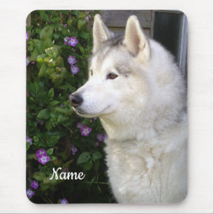 Siberian Husky Puppy Dog Mouse Pad
