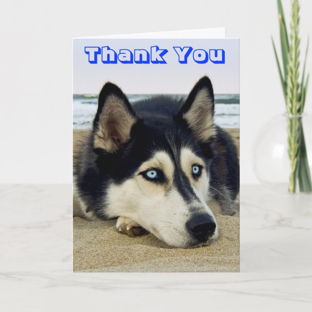 Siberian Husky Puppy Dog Thank You Greeting Card (Front)
