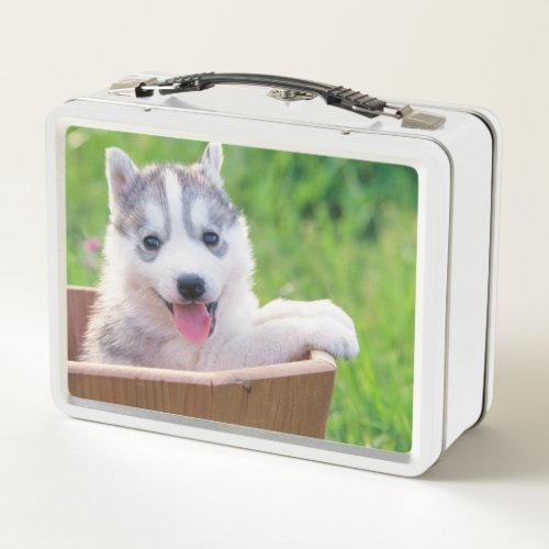 Siberian Husky Puppy in a Pot Metal Lunch Box