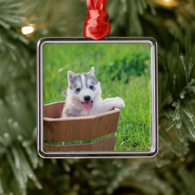 Siberian Husky Puppy in a Pot Metal Ornament (Tree)