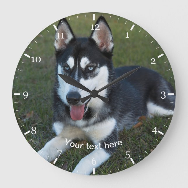 Siberian Husky puppy Large Clock (Front)