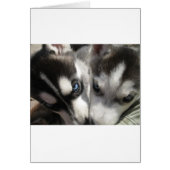 Siberian Husky Puppy mug (Front)
