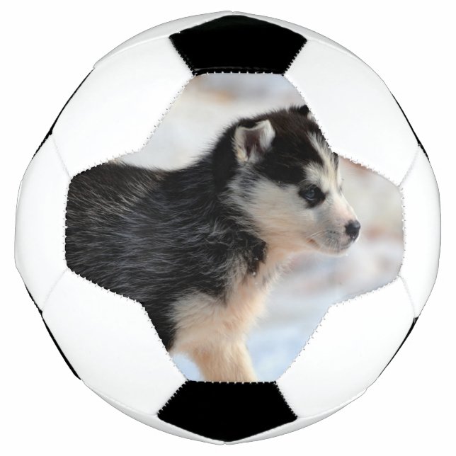 siberian husky puppy soccer ball (Front)