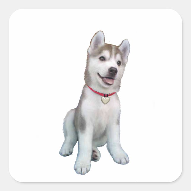 Siberian Husky Puppy Square Sticker (Front)