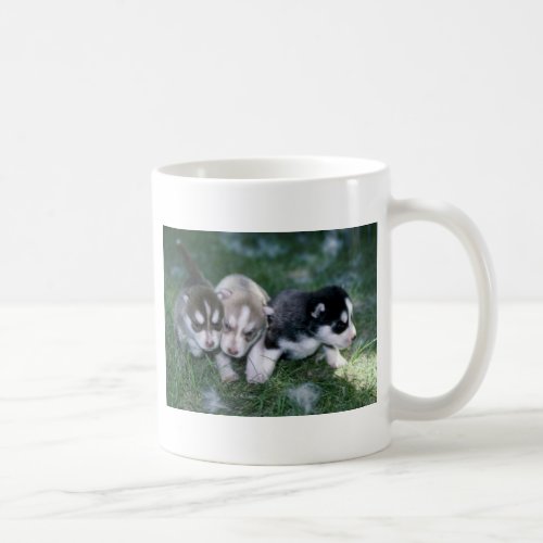 Siberian Husky pups 3 weeks Coffee Mug