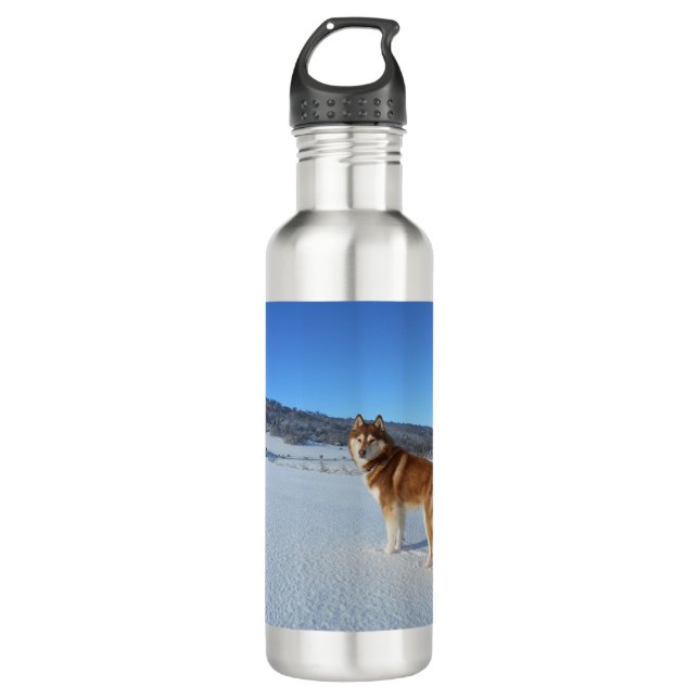 siberian-husky-red and white full stainless steel water bottle (Front)
