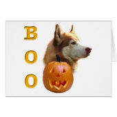 Siberian Husky (red) Boo (Front Horizontal)