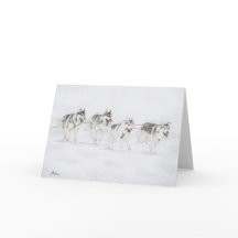 Siberian Husky Sled Dog Racing Team