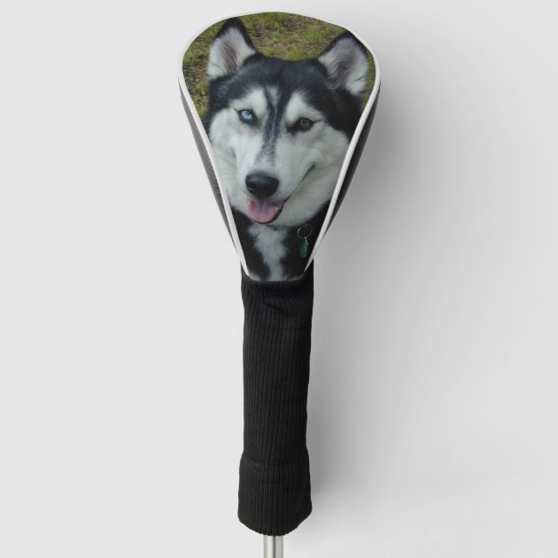 Siberian husky golf head cover Clearance