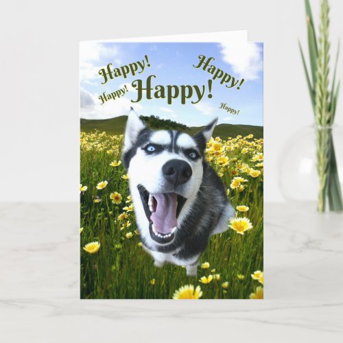 Siberian Husky Thinking of You Cute Dog Card